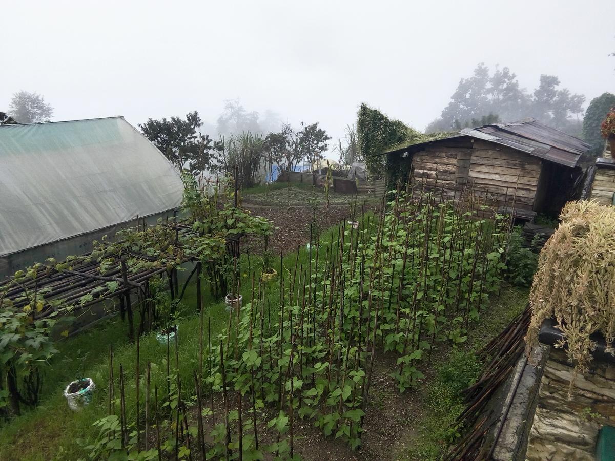 Villa Martam Farmhouse Pelling Exterior foto